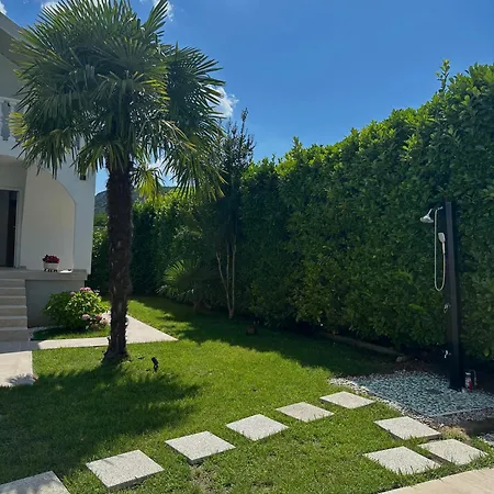 Oasis